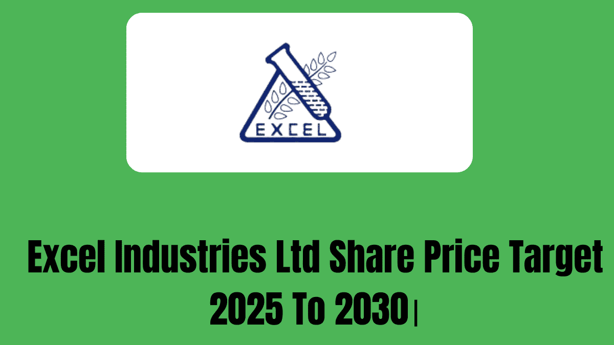 Excel Industries Ltd Share Price Target 2025 To 2030।